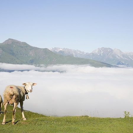 Hotel Le Viscos Saint-Savin  المظهر الخارجي الصورة