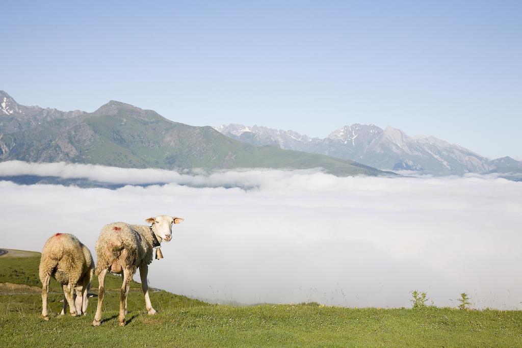 Hotel Le Viscos Saint-Savin  المظهر الخارجي الصورة